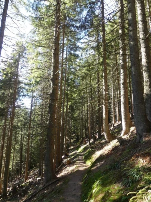 jor-col-de-soladier-plan-de-chatel-sonloup-183