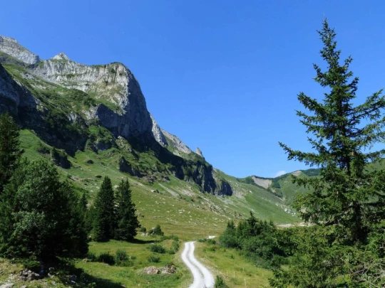 la-barme-berroi-champery-116
