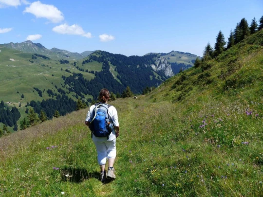 la-barme-berroi-champery-128