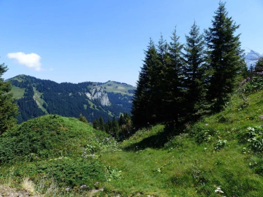 la-barme-berroi-champery-134