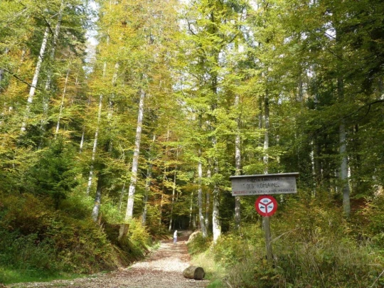la-chaux-de-fonds-le-locle-125