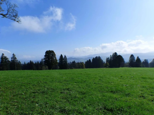 la-chaux-de-fonds-le-locle-135