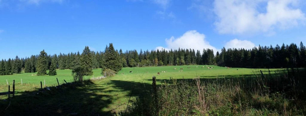 la-chaux-de-fonds-le-locle-142