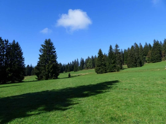 la-chaux-de-fonds-le-locle-143