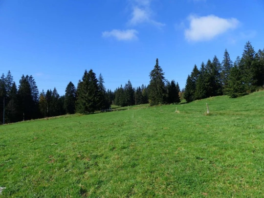 la-chaux-de-fonds-le-locle-144