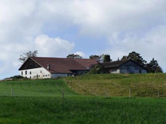 la-chaux-de-fonds-le-locle-171