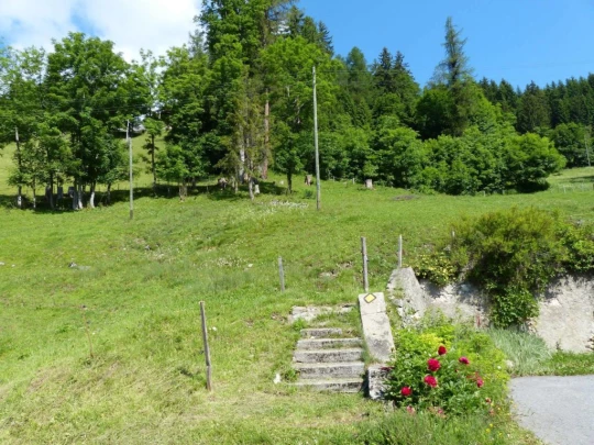 la-comballaz-la-lecherette-104