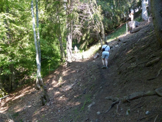 la-comballaz-la-lecherette-105