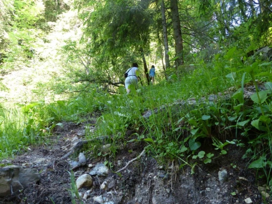 la-comballaz-la-lecherette-106