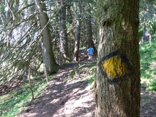 la-comballaz-la-lecherette-107