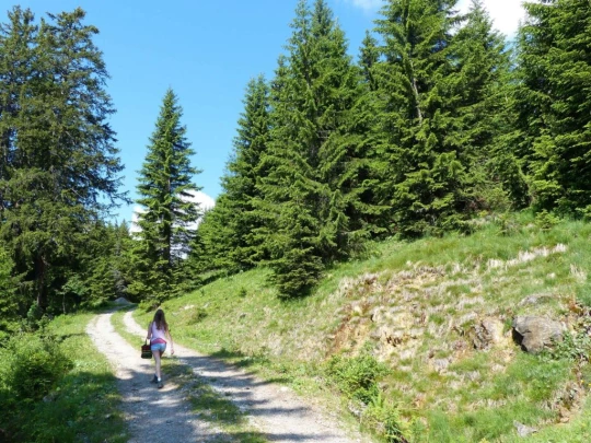 la-comballaz-la-lecherette-110