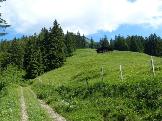 la-comballaz-la-lecherette-111