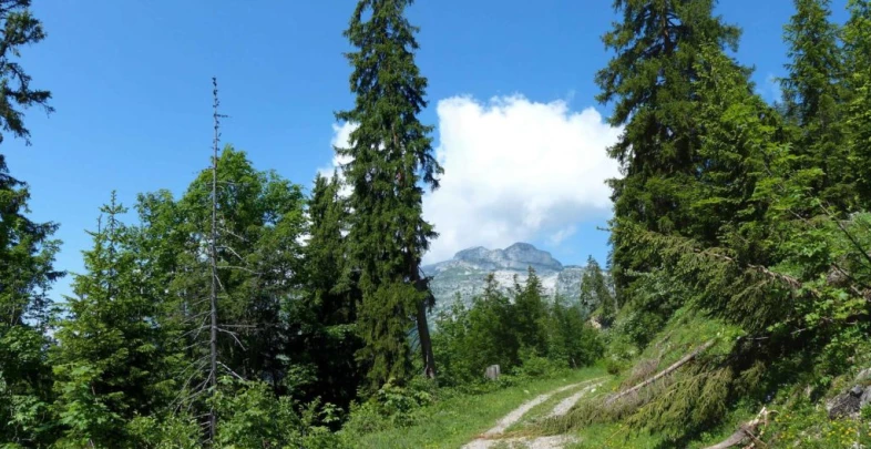 la-comballaz-la-lecherette-112