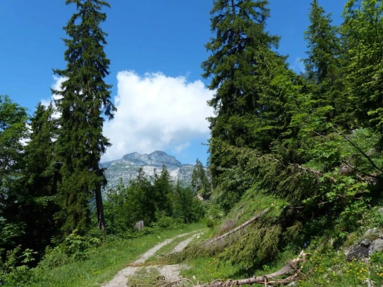 la-comballaz-la-lecherette-113