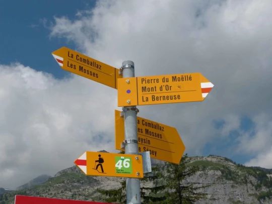 la-comballaz-la-lecherette-115