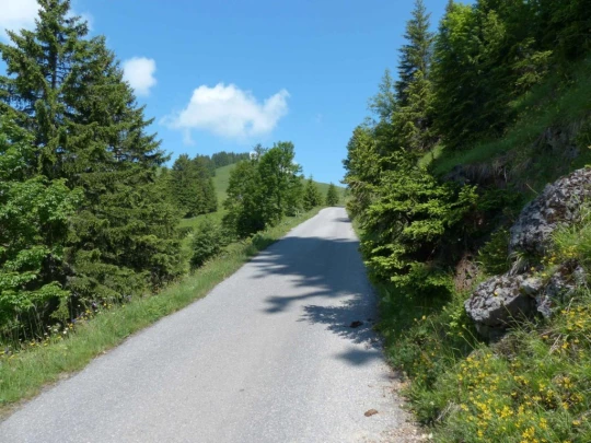 la-comballaz-la-lecherette-118