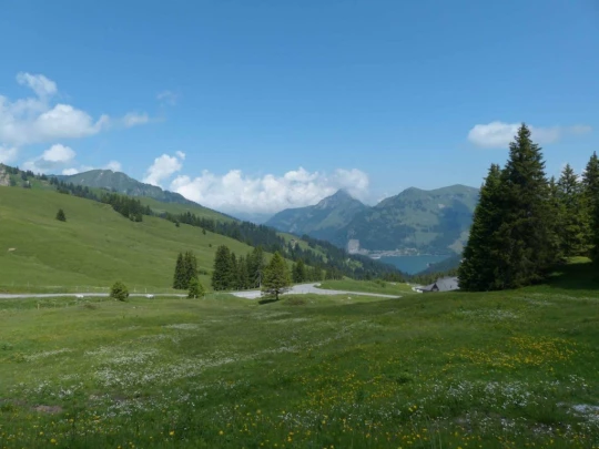 la-comballaz-la-lecherette-129