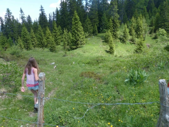 la-comballaz-la-lecherette-134