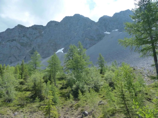 la-comballaz-la-lecherette-135