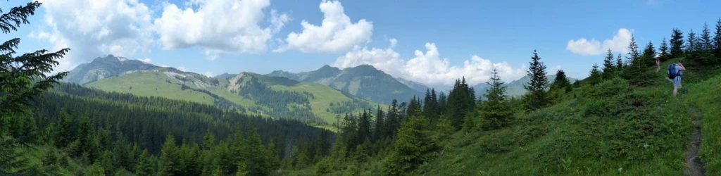 la-comballaz-la-lecherette-139