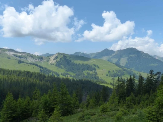 la-comballaz-la-lecherette-140