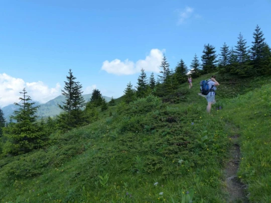 la-comballaz-la-lecherette-141