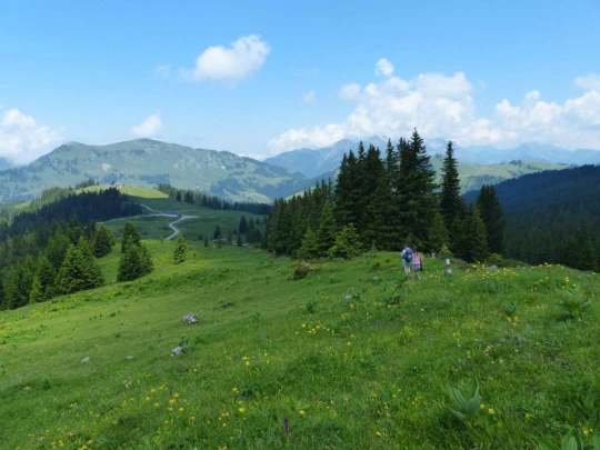 la-comballaz-la-lecherette-143