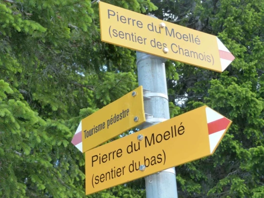 la-comballaz-la-lecherette-145