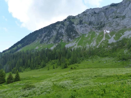 la-comballaz-la-lecherette-146