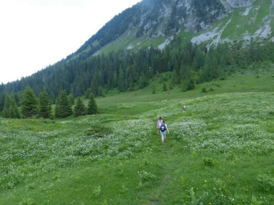 la-comballaz-la-lecherette-147