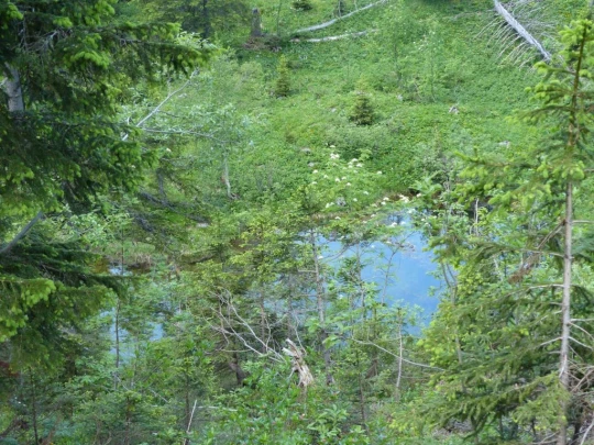 la-comballaz-la-lecherette-149