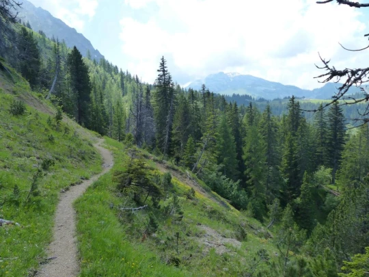 la-comballaz-la-lecherette-152