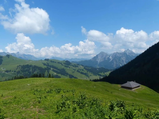 la-comballaz-la-lecherette-154