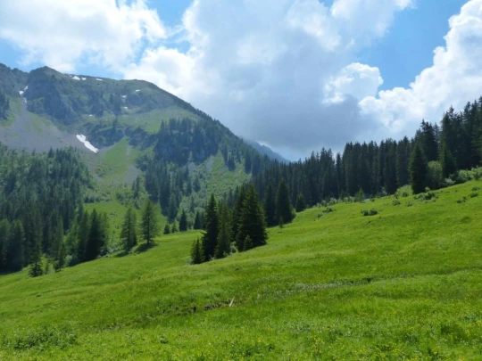 la-comballaz-la-lecherette-156