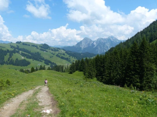 la-comballaz-la-lecherette-157