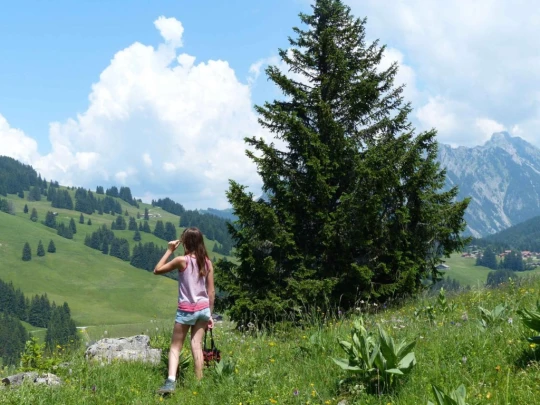 la-comballaz-la-lecherette-160