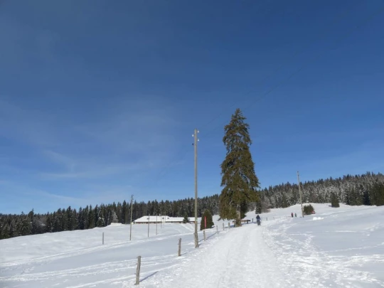 la-givrine-st-cergue-hiver1819-100