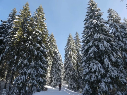 la-givrine-st-cergue-hiver1819-104