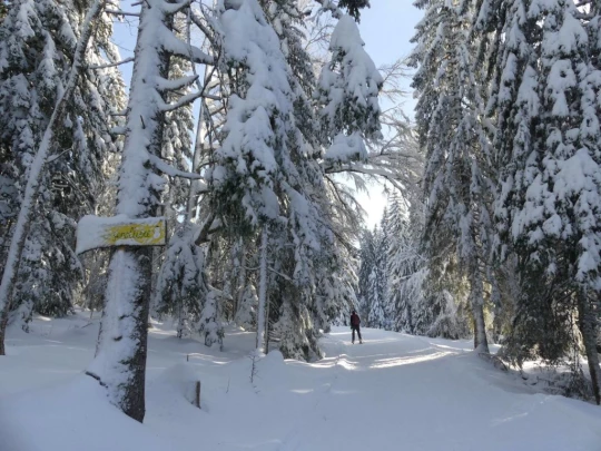 la-givrine-st-cergue-hiver1819-106