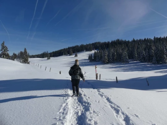 la-givrine-st-cergue-hiver1819-112