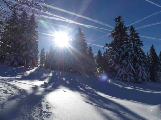 la-givrine-st-cergue-hiver1819-116