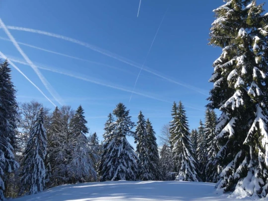 la-givrine-st-cergue-hiver1819-118