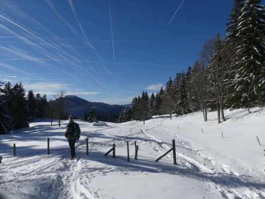 la-givrine-st-cergue-hiver1819-124