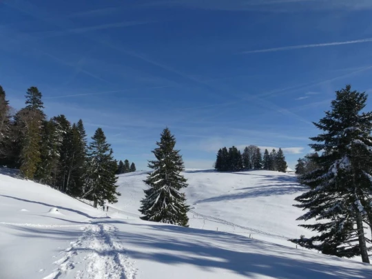 la-givrine-st-cergue-hiver1819-132