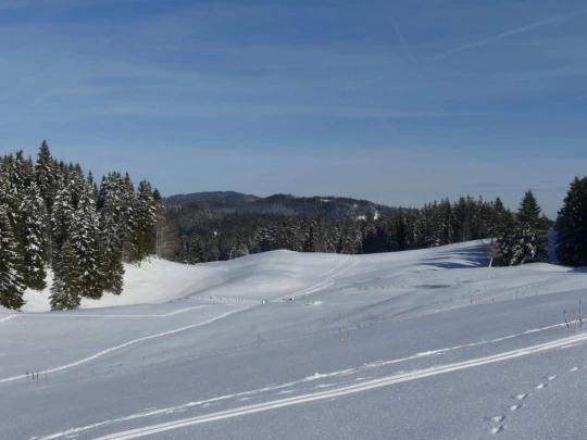 la-givrine-st-cergue-hiver1819-135