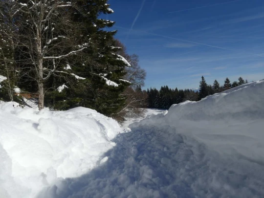 la-givrine-st-cergue-hiver1819-146