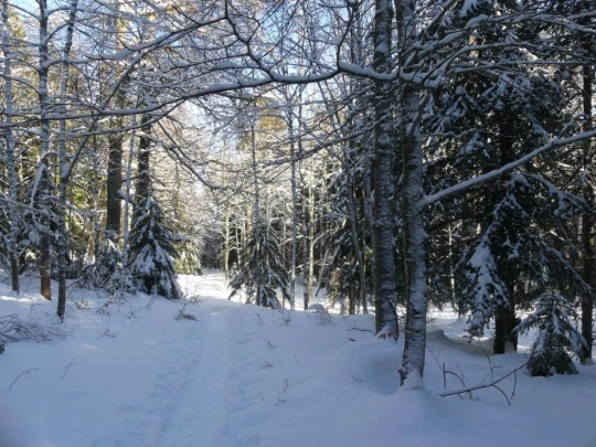 la-givrine-st-cergue-hiver1819-148