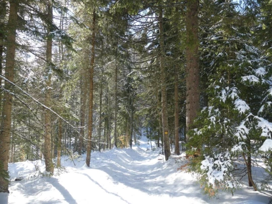 la-givrine-st-cergue-hiver1819-151