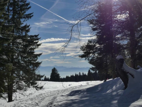 la-givrine-st-cergue-hiver1819-153