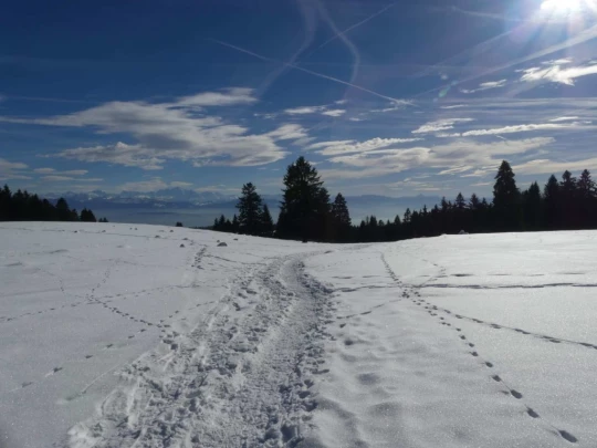 la-givrine-st-cergue-hiver1819-154